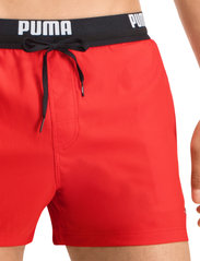 Puma Swim - PUMA SWIM MEN LOGO SHORT LENGTH SWI - swim shorts - red - 6