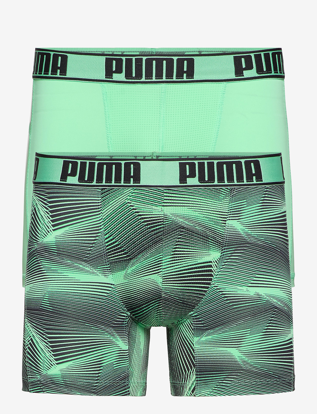 MINT COMBO