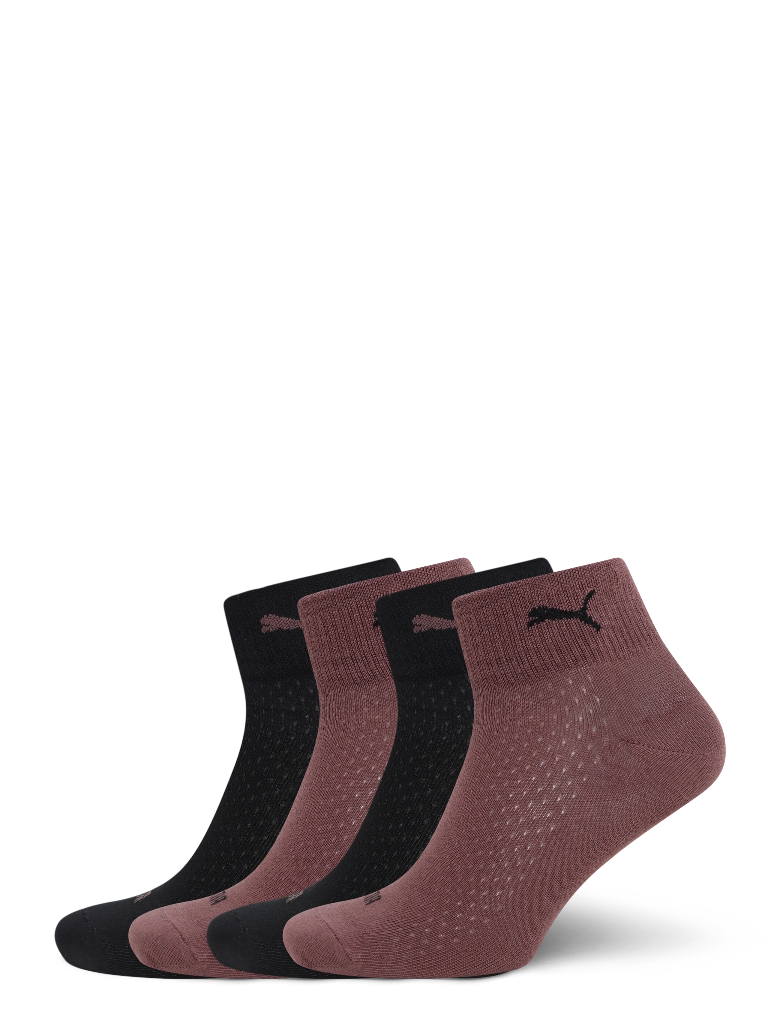 PUMA PUMA WOMEN QUARTER 4P ECOM - Bestsellers Sport - RICH COCOA / BLACK / brown