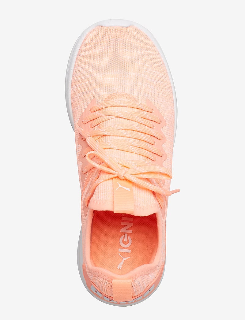 PUMA Ignite Flash Evoknit Wn's – training shoes – shop at Booztlet