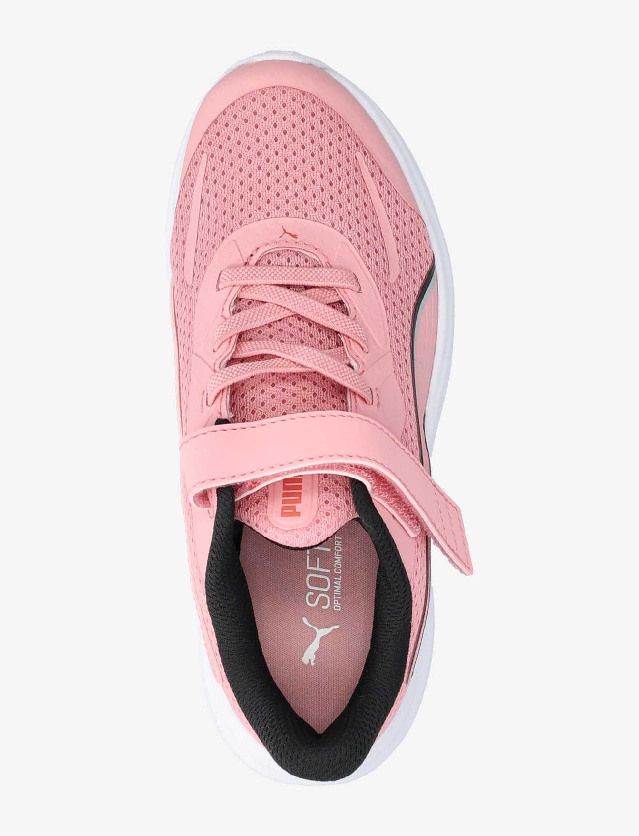 PUMA - Skyrocket 2 AC+ PS - kleidung - pinkscape-puma white - 3