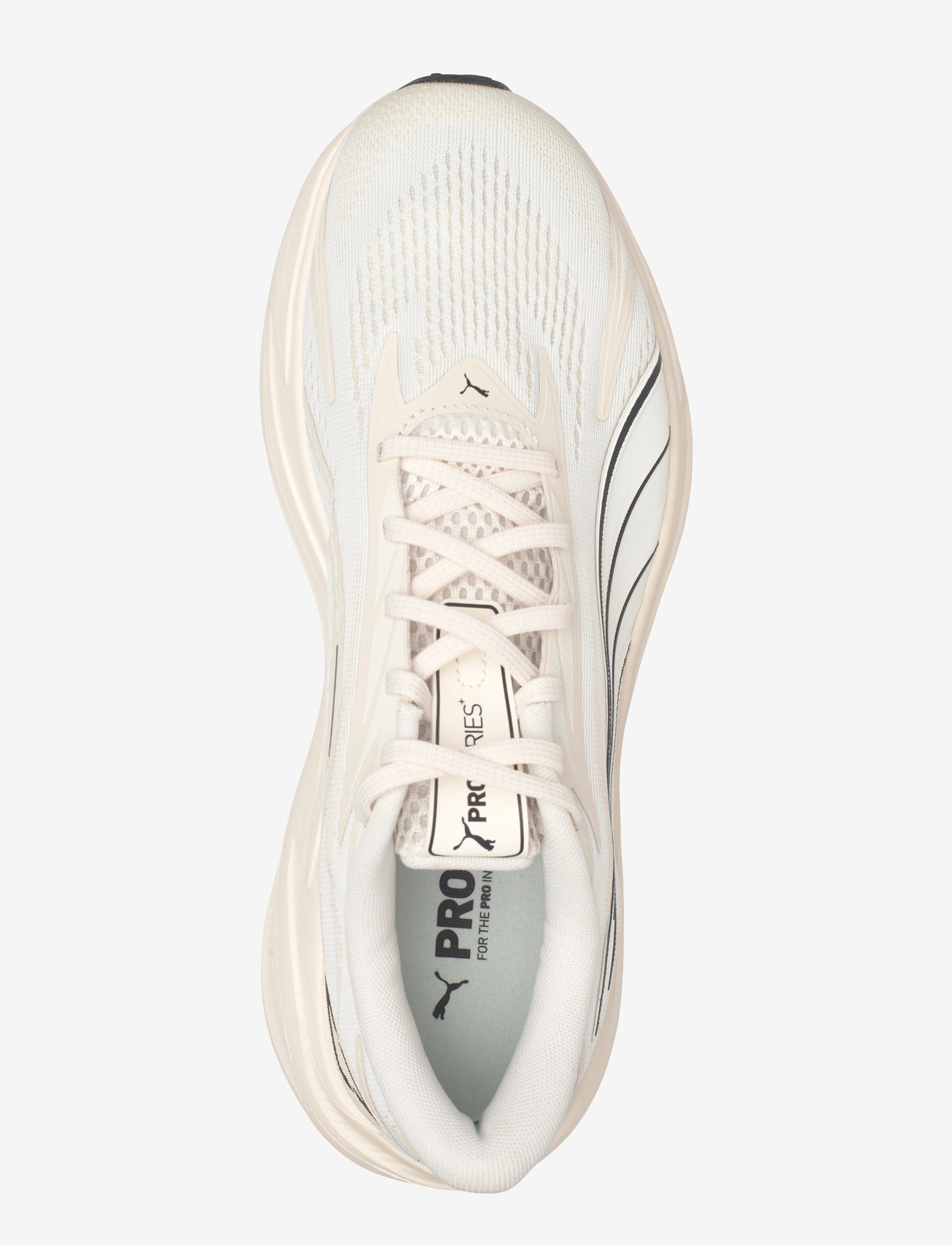 PUMA - Maxima Pro - running shoes - alpine snow-warm white - 3