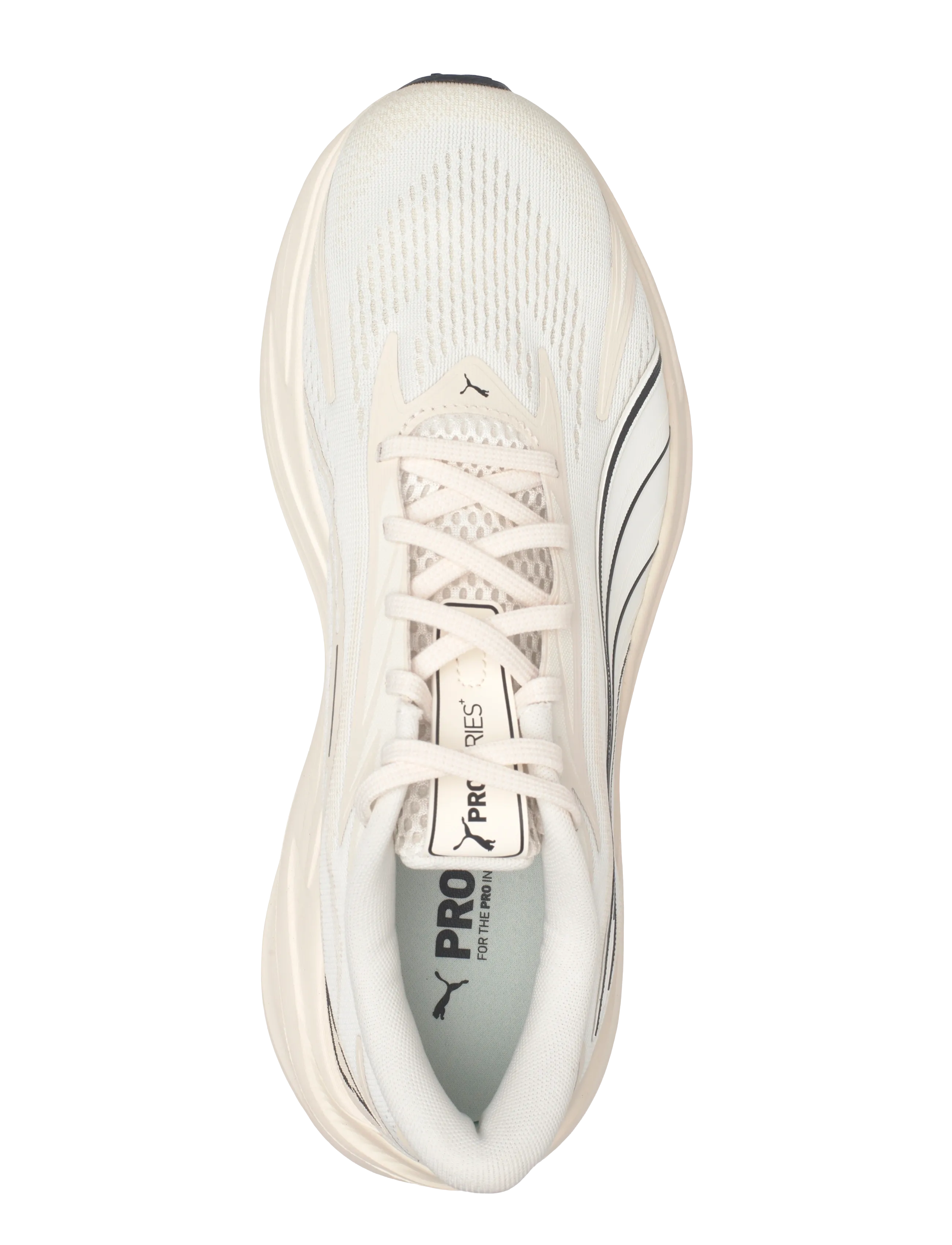 PUMA - Maxima Pro - hlaupaskór - alpine snow-warm white - 3