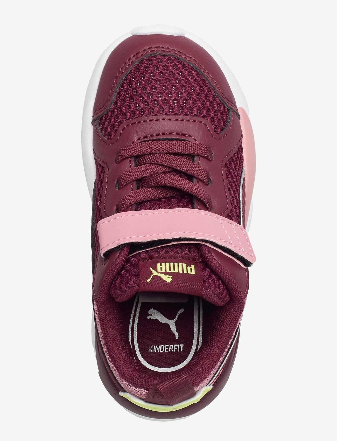 PUMA - X-Ray Glow AC Inf - burgundy-burgundy-foxglove-sharp gr - 3