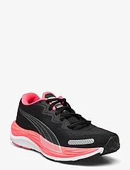 PUMA - Velocity Nitro 2 Wns - løbesko - puma black-fire orchid - 0