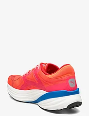 PUMA - Magnify Nitro 2 - running shoes - fire orchid-ultra blue - 2