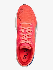 PUMA - Magnify Nitro 2 - running shoes - fire orchid-ultra blue - 3