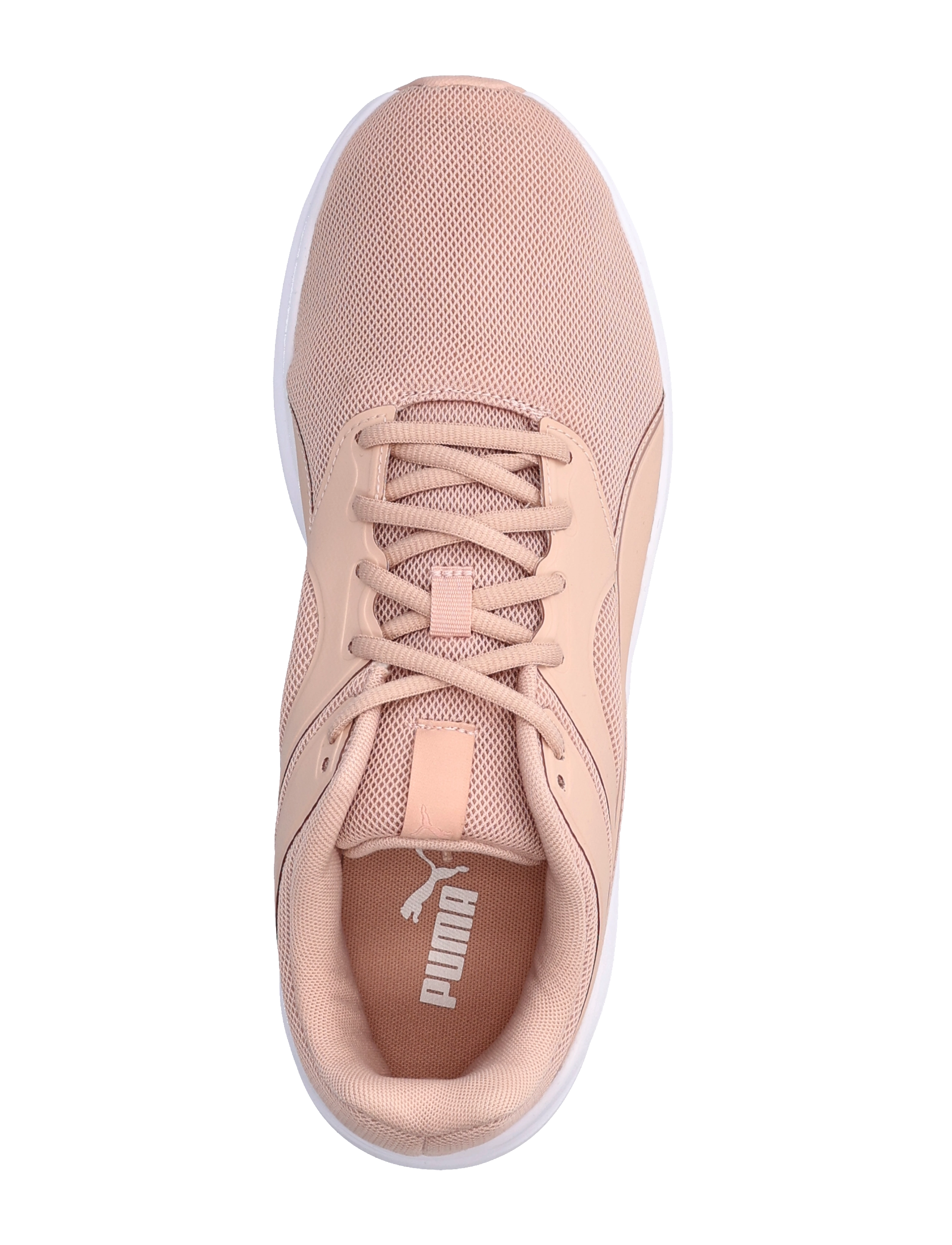 PUMA - Transport - rose quartz-rose gold - 3