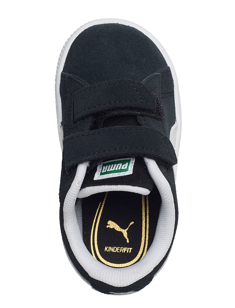 Baby puma suede sale