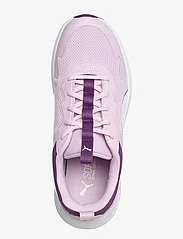 PUMA - Puma Evolve Run Mesh Jr - laagste prijzen - crushed berry-grape mist - 3