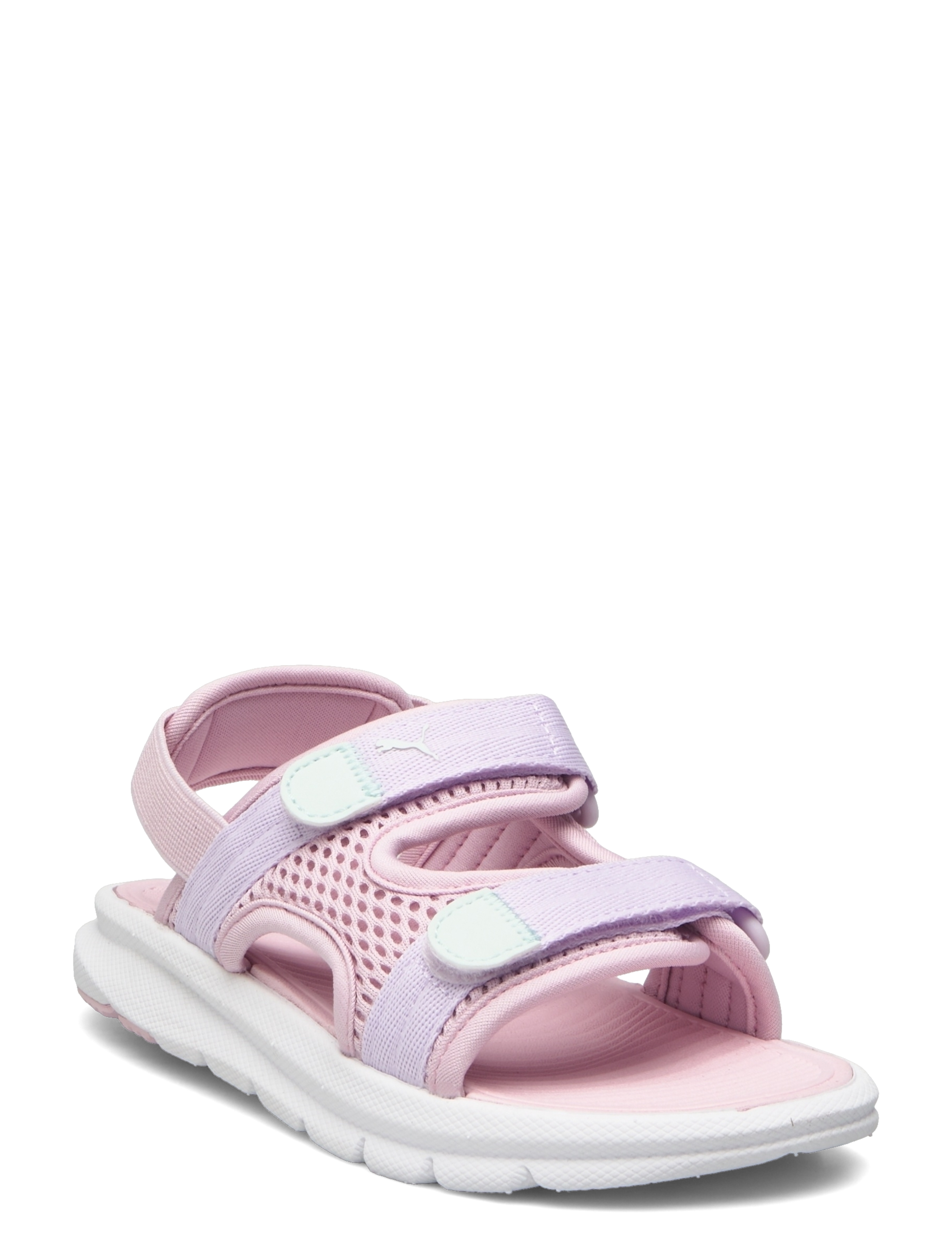 ROSE MAUVE-LILAC FROST-PEACEFUL BLUE
