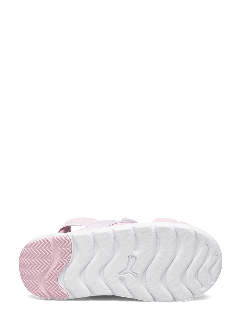 PUMA - Puma Evolve Sandal AC Inf - rose mauve-lilac frost-peaceful blue - 4