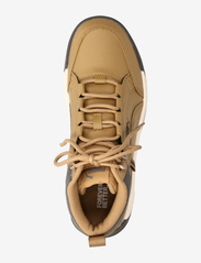 PUMA - Tarrenz SB III - hoog sneakers - toasted-toasted-shadow gray-puma gold - 5