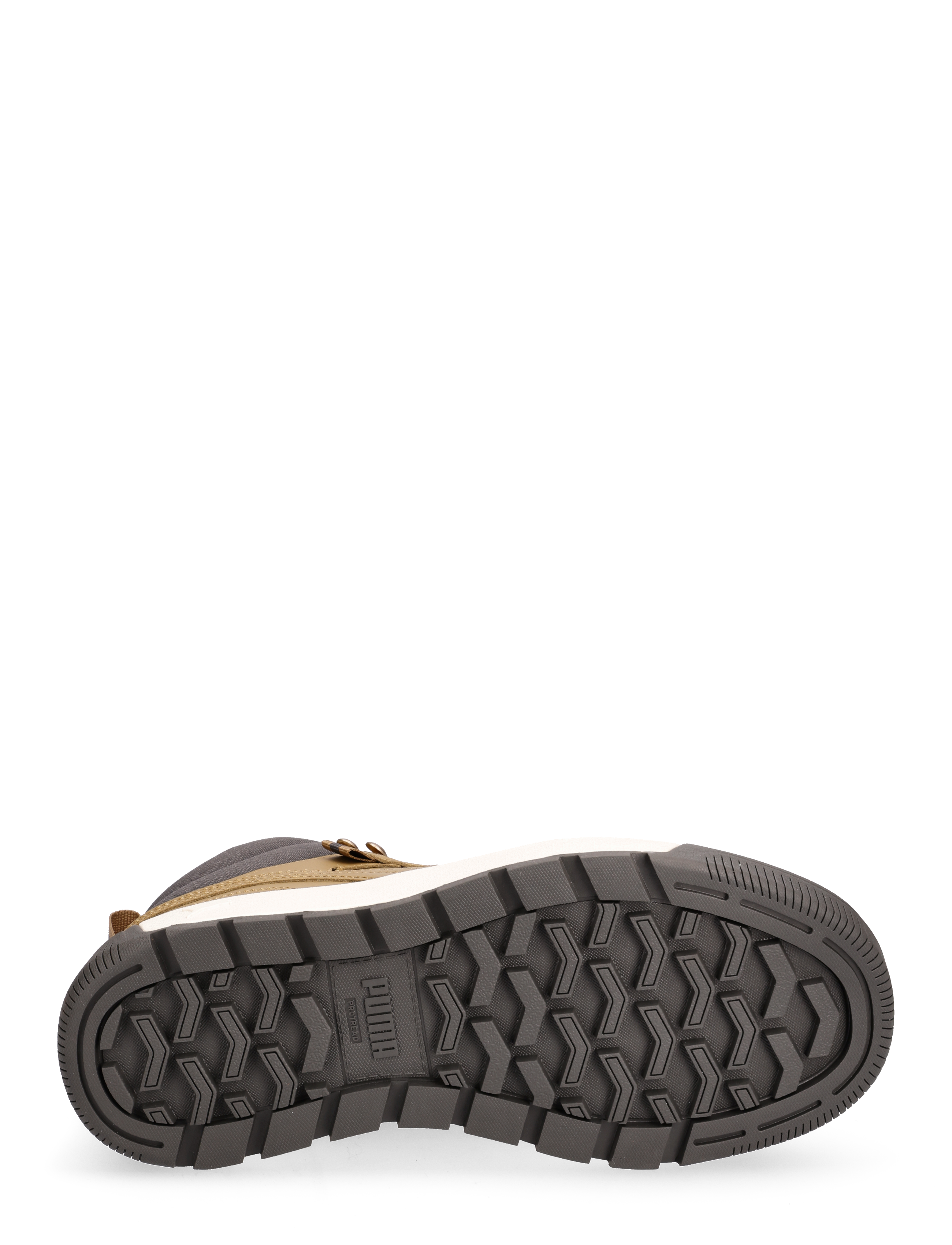 PUMA - Tarrenz SB III - toasted-toasted-shadow gray-puma gold - 4