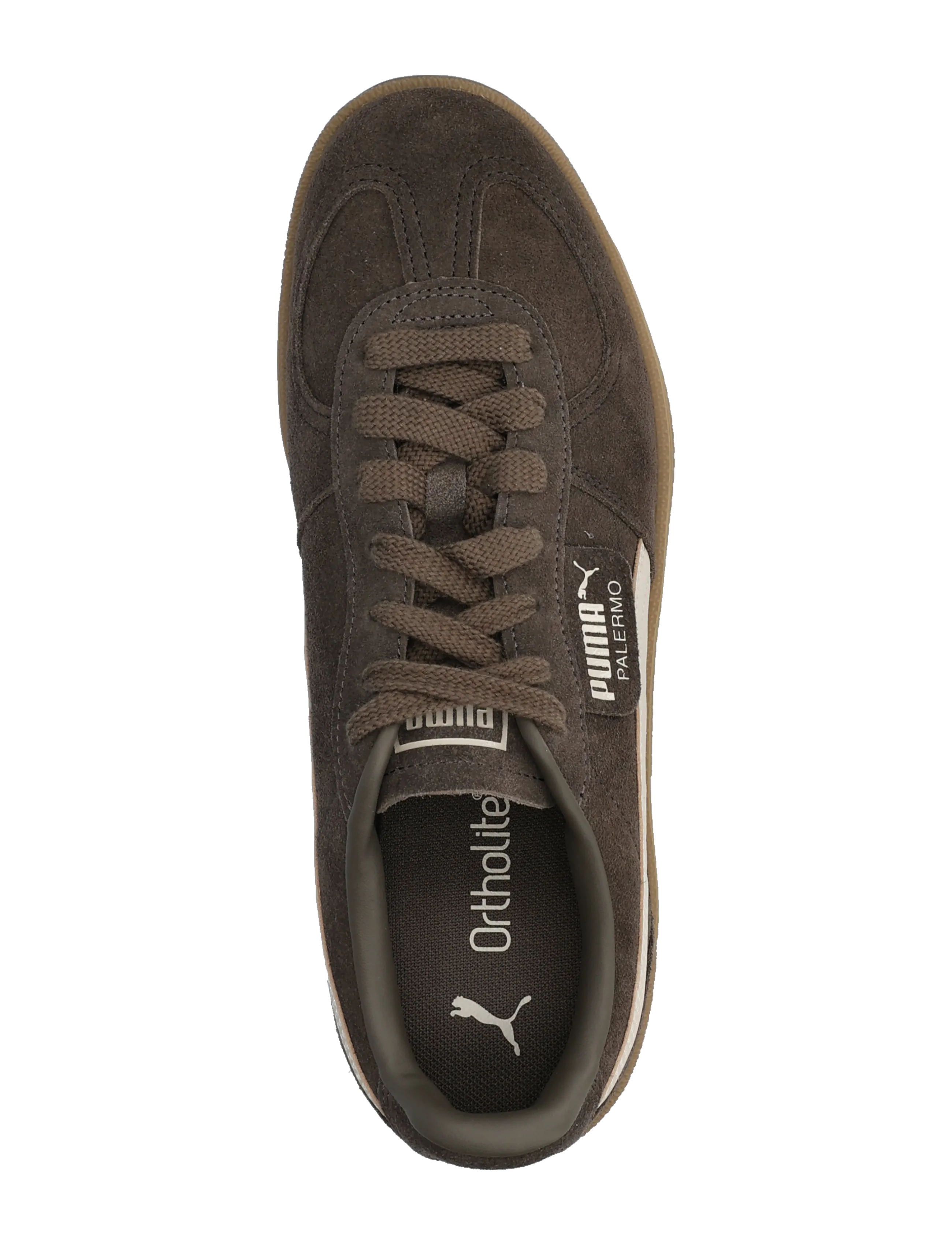 PUMA - Palermo - herbstersparnisse - matte bronze-silver fog - 3