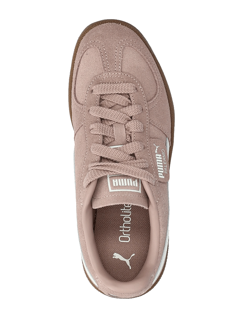 PUMA - Palermo Jr - tøj - sandstone-vapor gray - 3