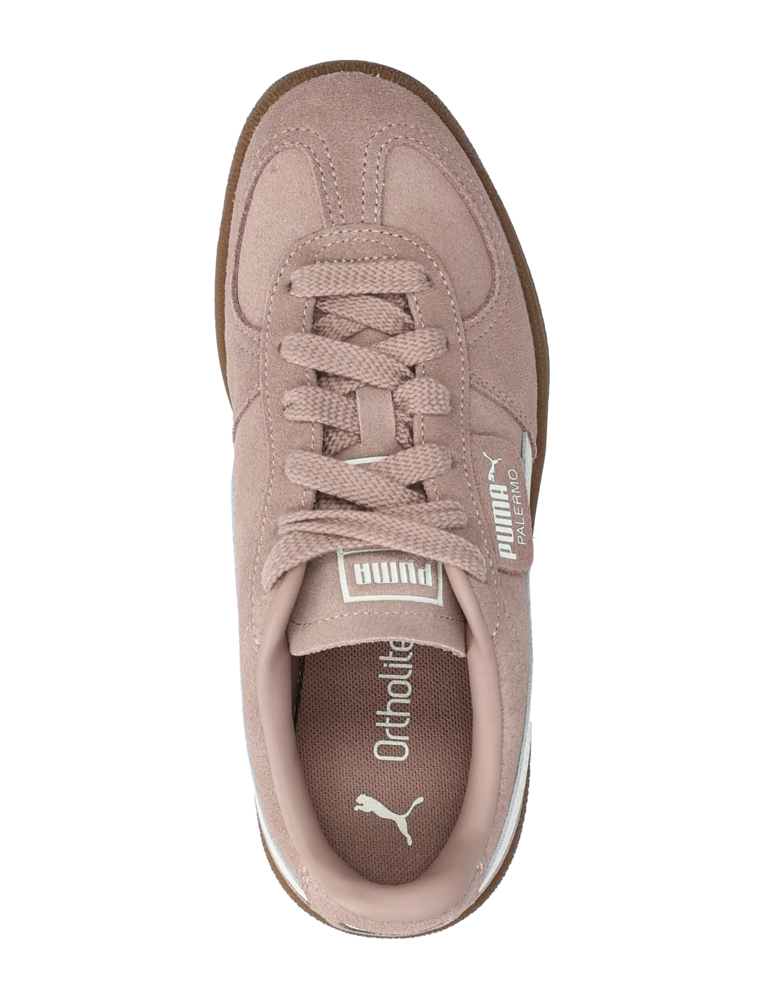 PUMA - Palermo Jr - kleidung - sandstone-vapor gray - 3