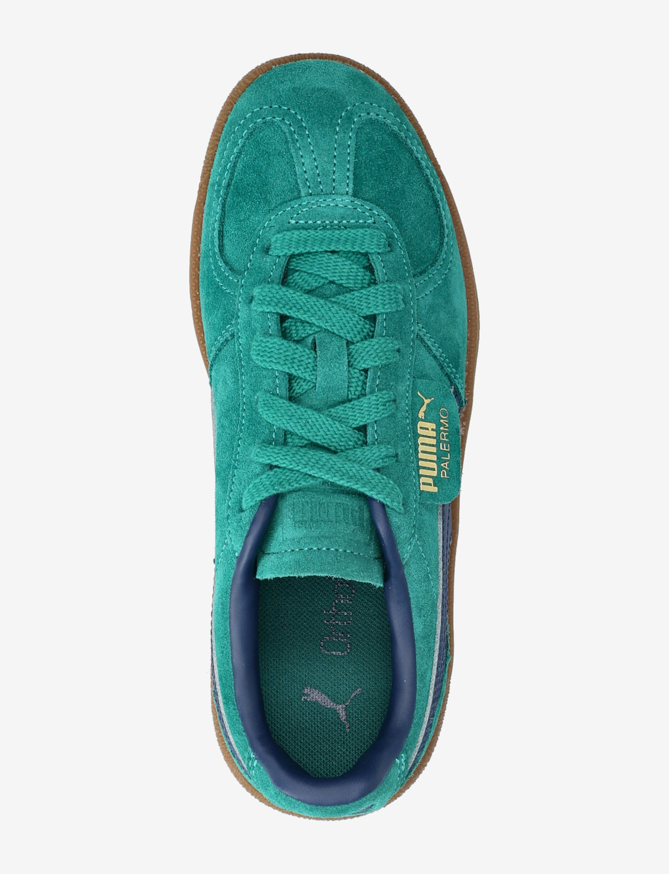 PUMA - Palermo Jr - low tops - wild green-persian blue - 3