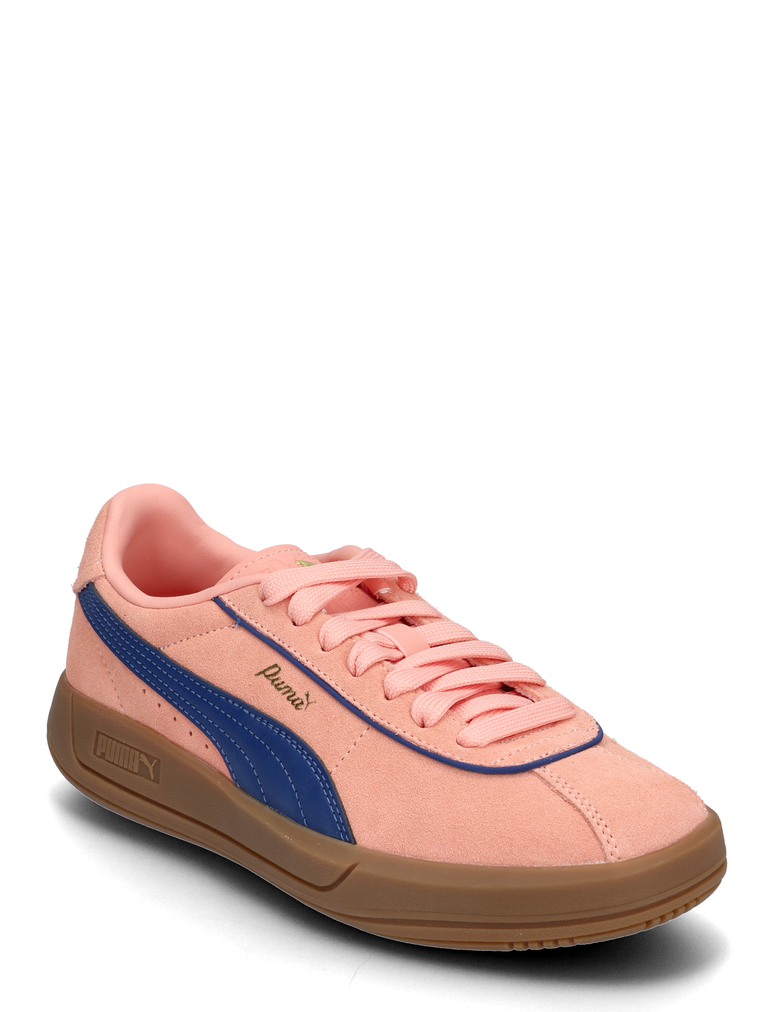 PUMA Puma Club Klassika SD - PUMA - PINK FRUIT-BLAZING BLUE-PUMA GOLD / pink/rose