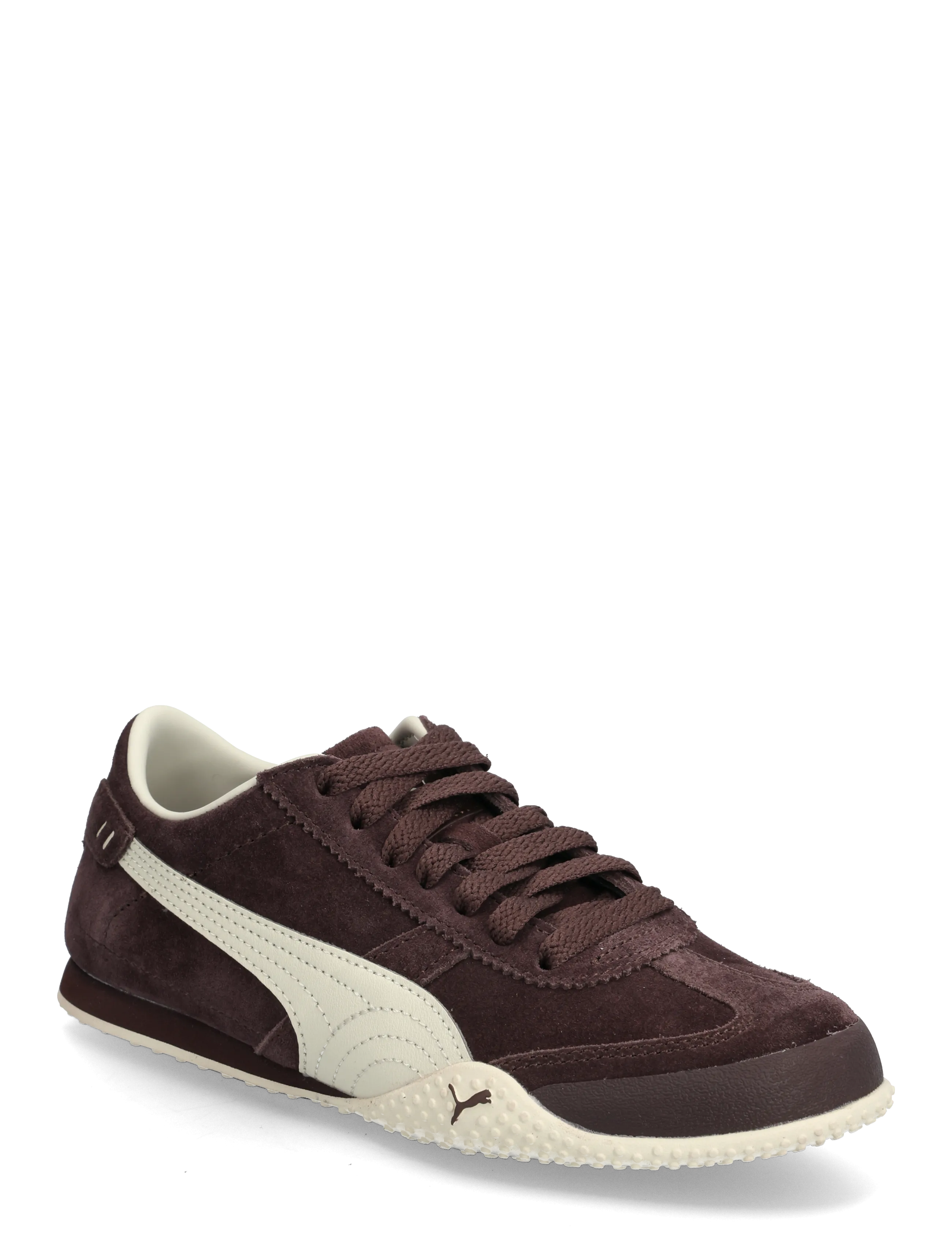 CHOCOLATE BROWN-ALPINE SNOW