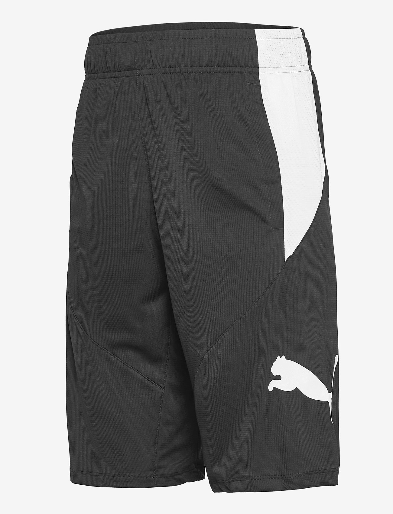 PUMA - PUMA Cat Short - puma black-puma white - 2