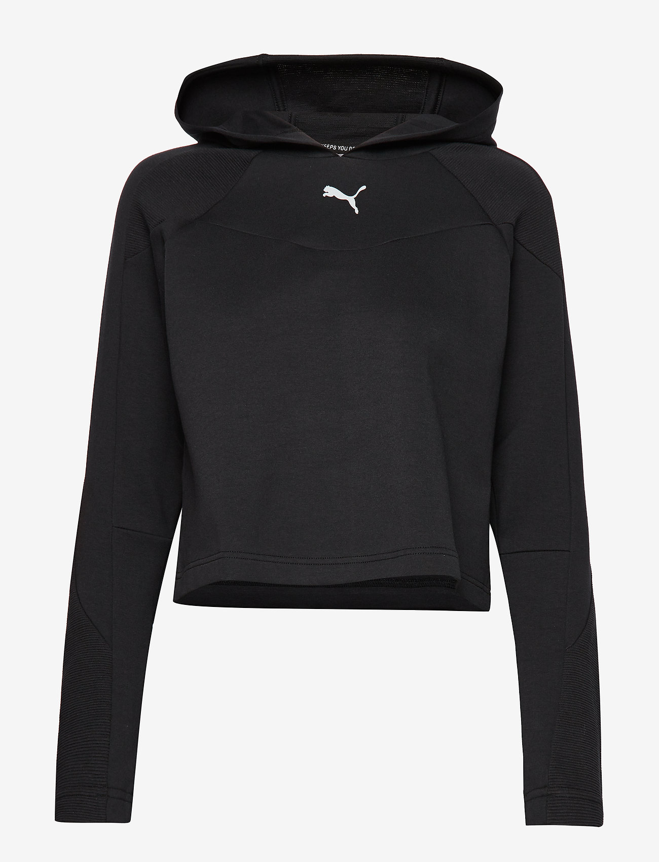 EVOSTRIPE Hoody - LIGHT GRAY HEATHER