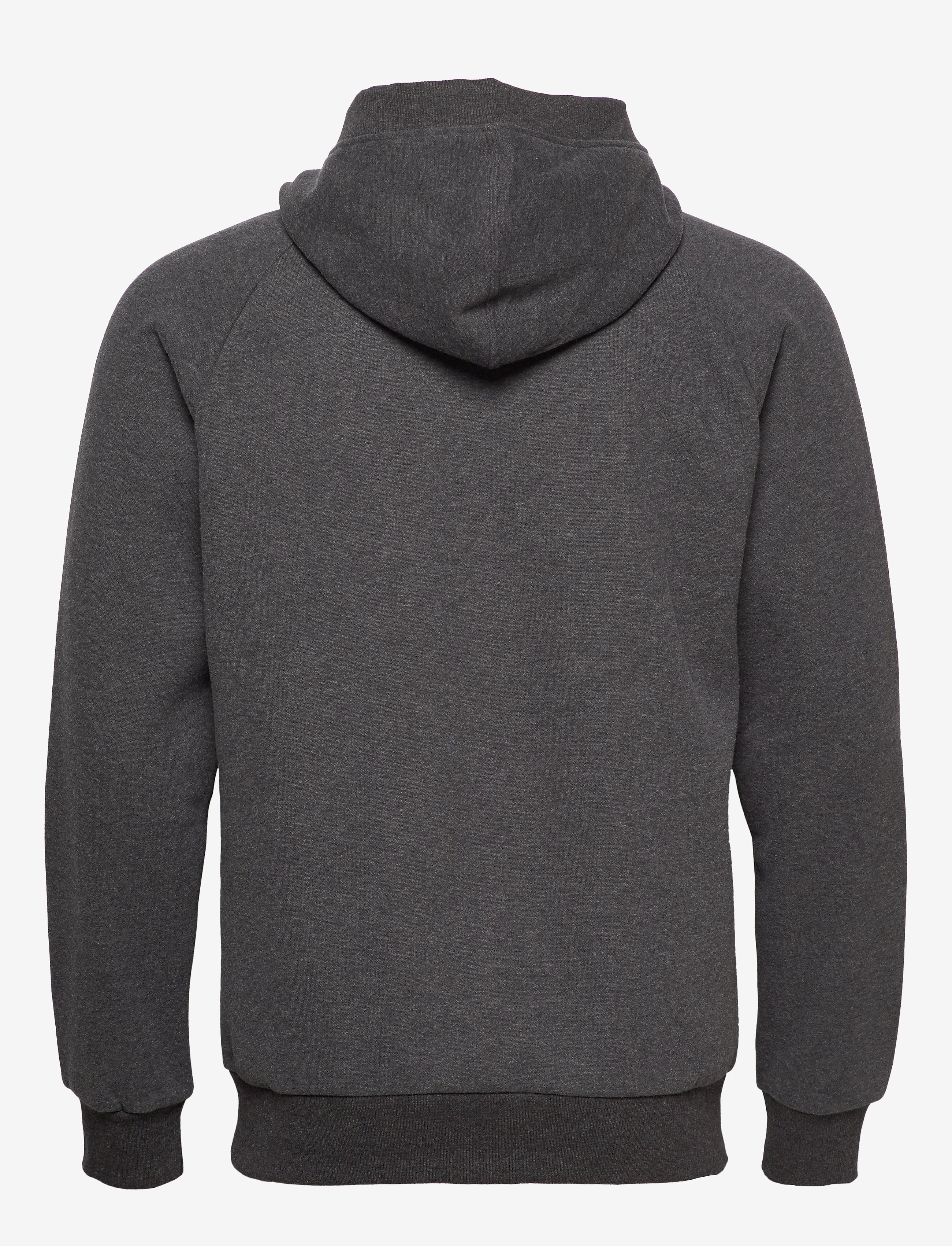 PUMA - Athletics FZ Hoody FL - dark gray heather - 1
