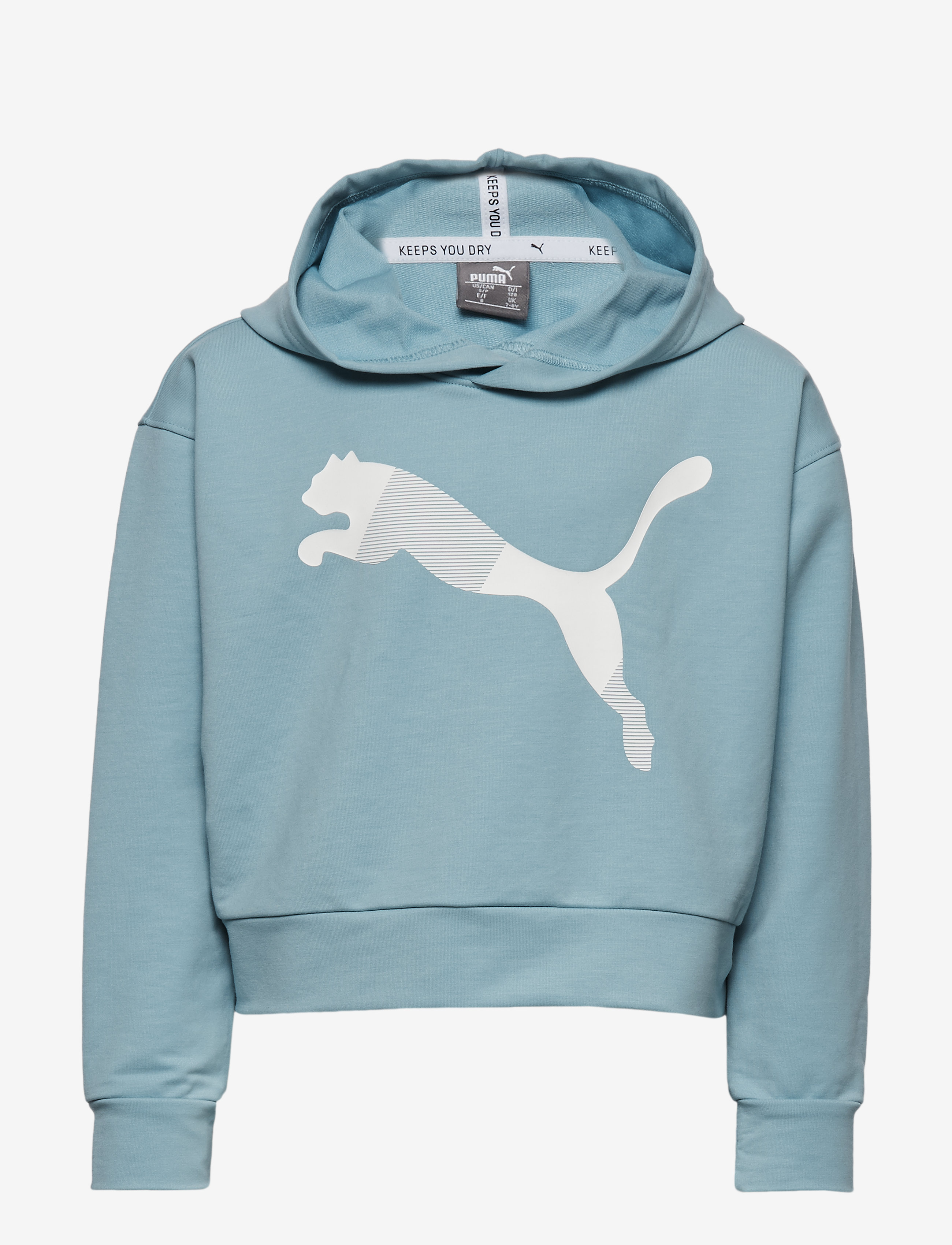 PUMA - Modern Sports Hoody TR G - milky blue - 0