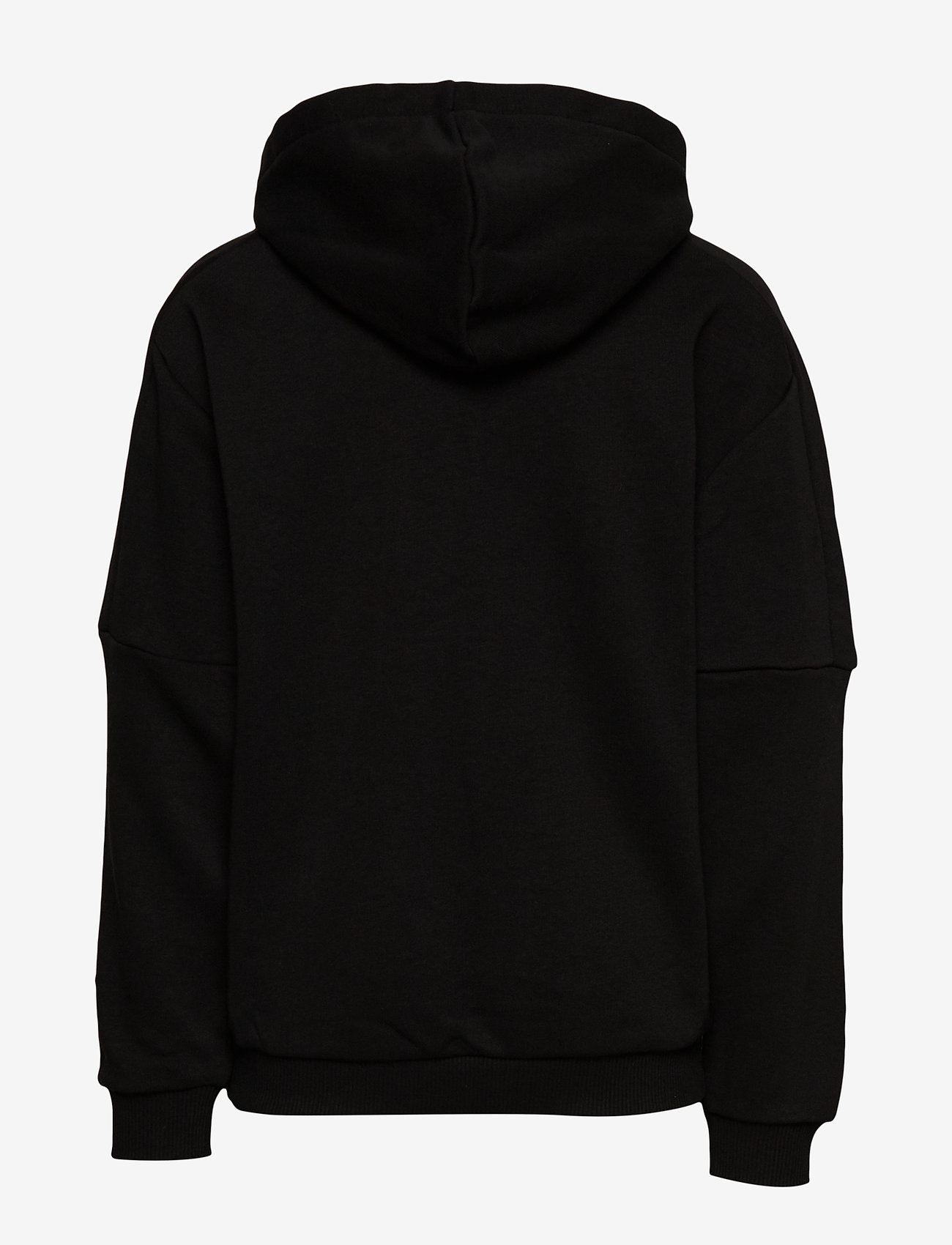 PUMA - Rebel Block Hoody TR B - puma black - 1