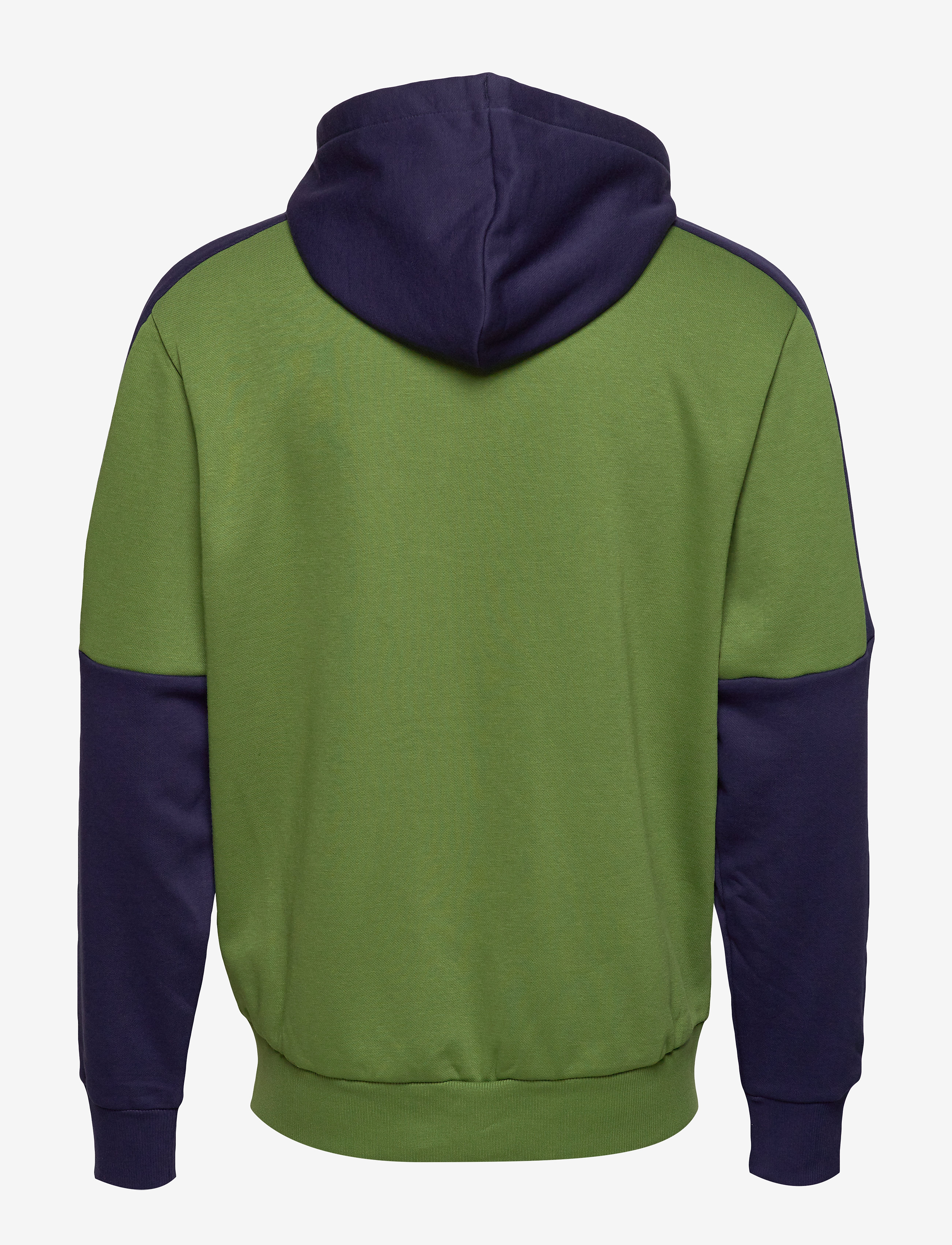 PUMA - Rebel Block FZ Hoody FL - garden green - 1