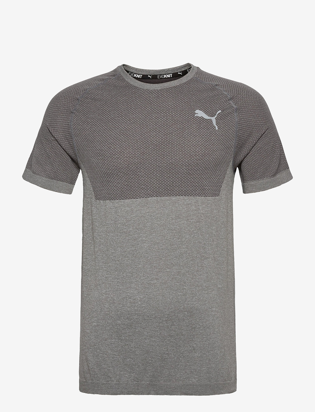 PUMA - RTG Evoknit Basic Tee - castlerock - 0