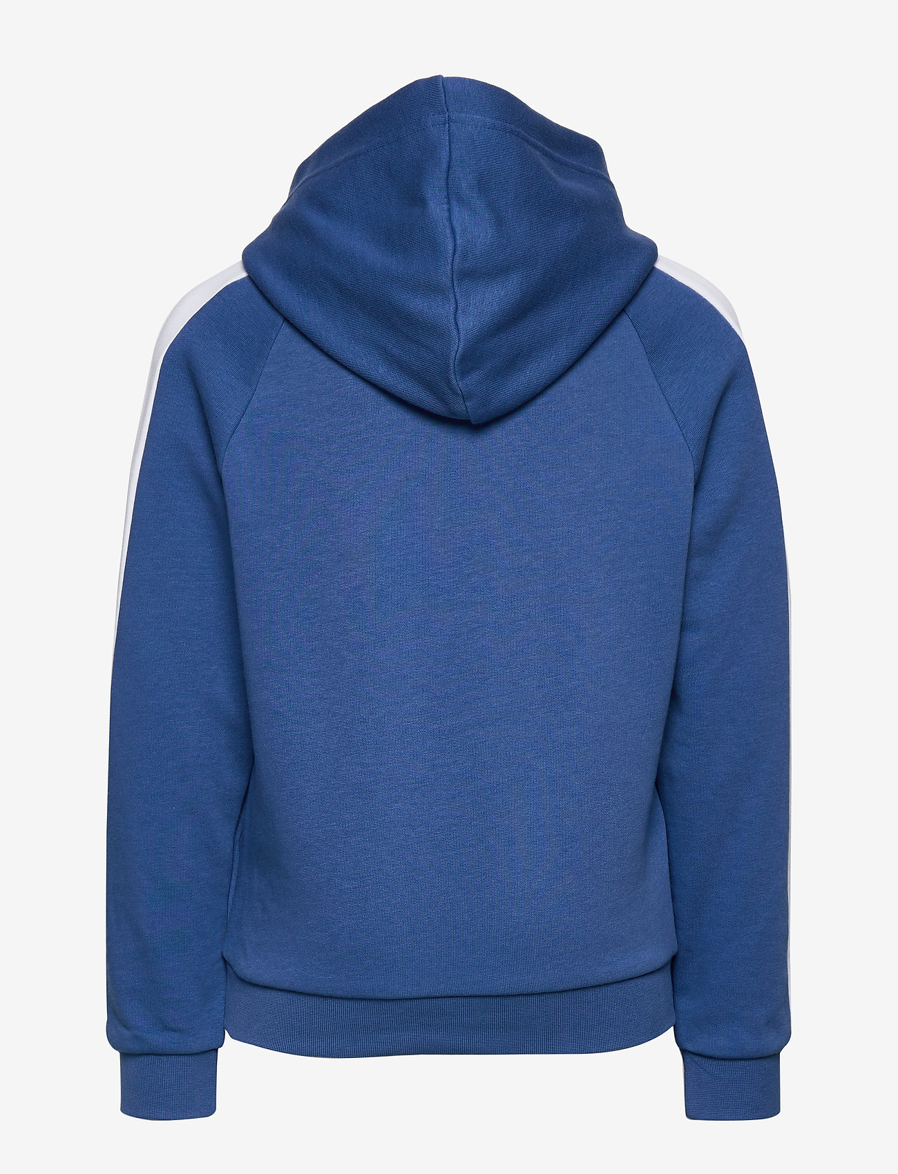 PUMA - Monster Hoody - bright cobalt - 1