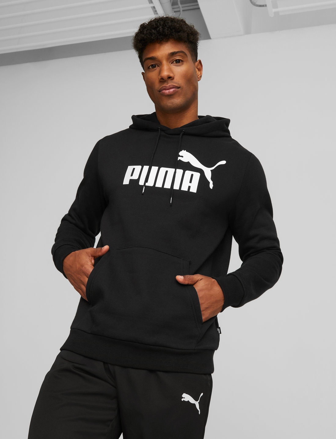 PUMA Ess Big Logo Hoodie Fl - Hoodies