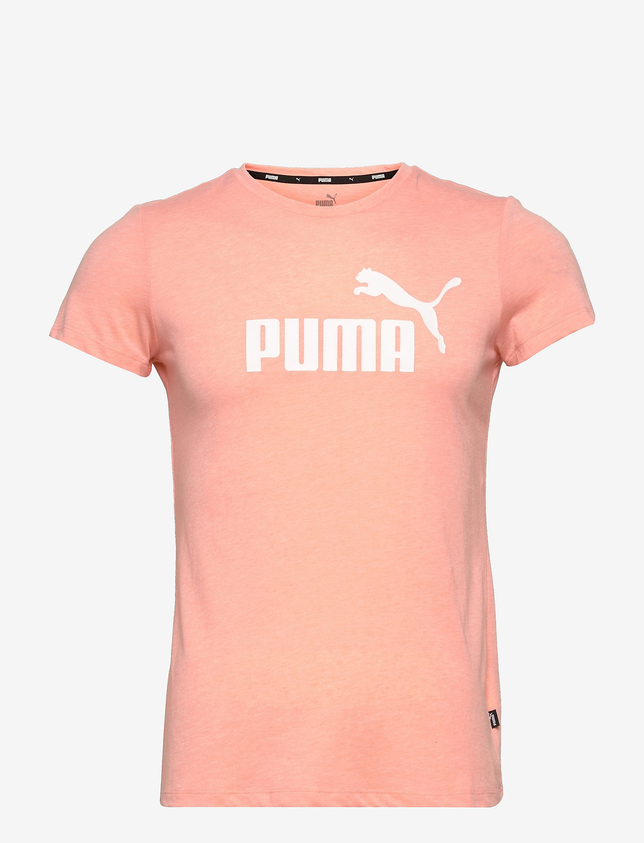 APRICOT BLUSH HEATHER