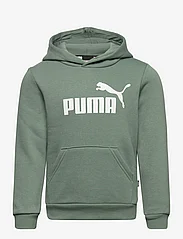PUMA Ess Big Logo Hoodie Fl B – oberteile – einkaufen bei Booztlet  Österreich