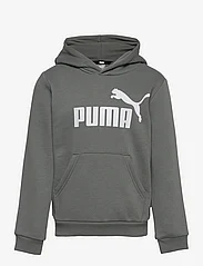 PUMA - ESS Big Logo Hoodie FL B - džemperiai su gobtuvu - mineral gray - 0
