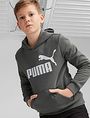 PUMA - ESS Big Logo Hoodie FL B - hættetrøjer - mineral gray - 2