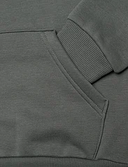 PUMA - ESS Big Logo Hoodie FL B - hoodies - mineral gray - 4