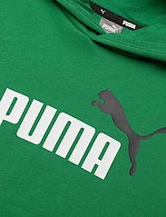PUMA - ESS+ 2 Col Big Logo Hoodie FL B - hættetrøjer - archive green - 3