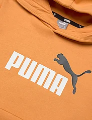 PUMA - ESS+ 2 Col Big Logo Hoodie FL B - hættetrøjer - ginger tea - 2