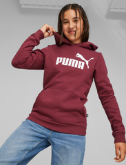 PUMA - ESS Logo Hoodie FL G - bluzy z kapturem - dark jasper - 2