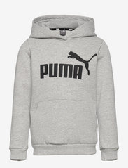 PUMA - ESS Logo Hoodie FL G - kapuzenpullover - light gray heather - 0