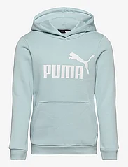 PUMA - ESS Logo Hoodie FL G - džemperi ar kapuci - turquoise surf - 0