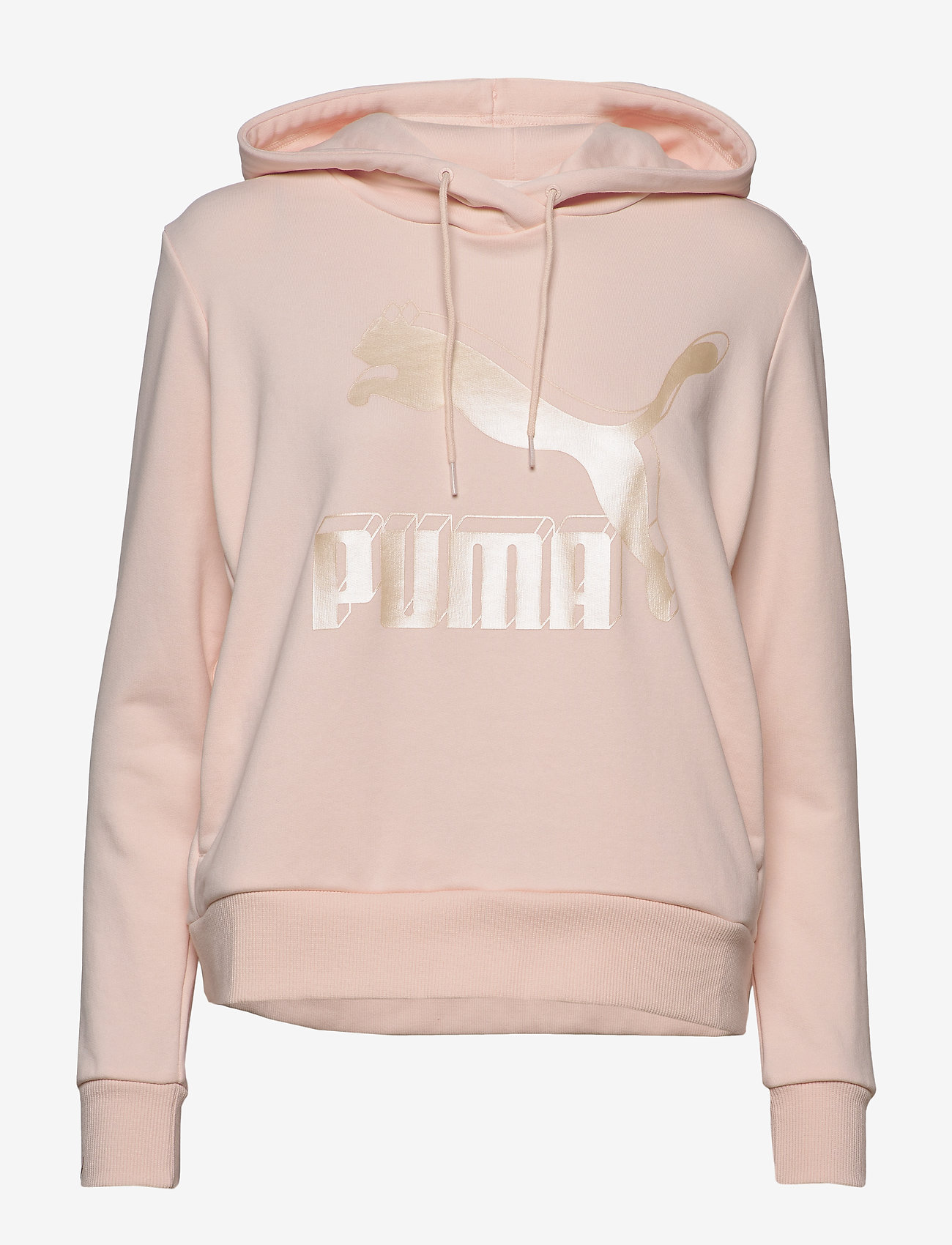 Classics Logo Hoody - ROSEWATER-METALLIC