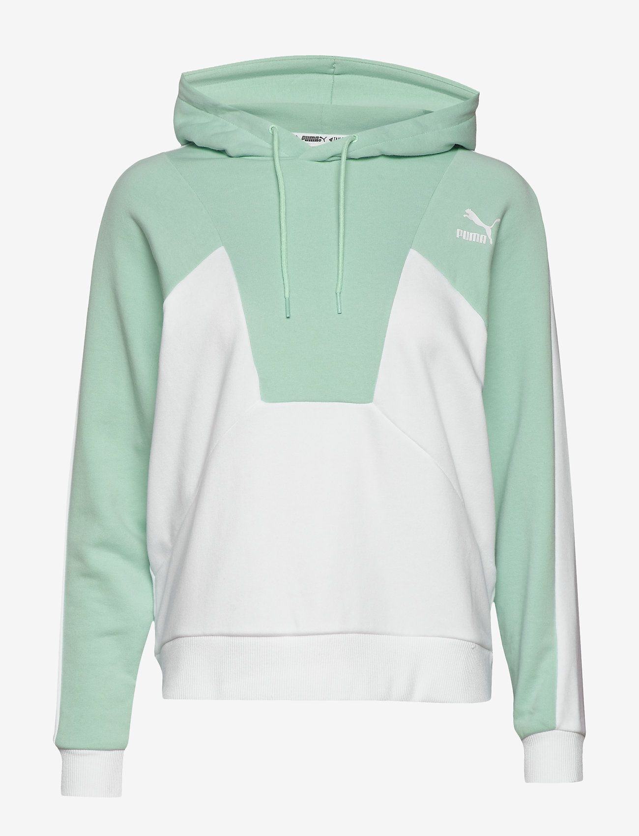 PUMA - TFS Hoody - mist green - 0