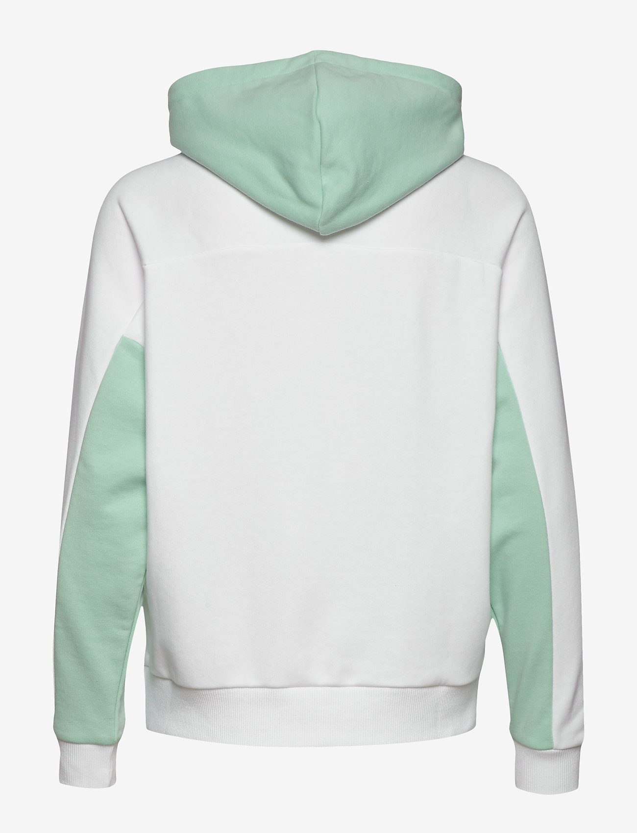 PUMA - TFS Hoody - mist green - 1