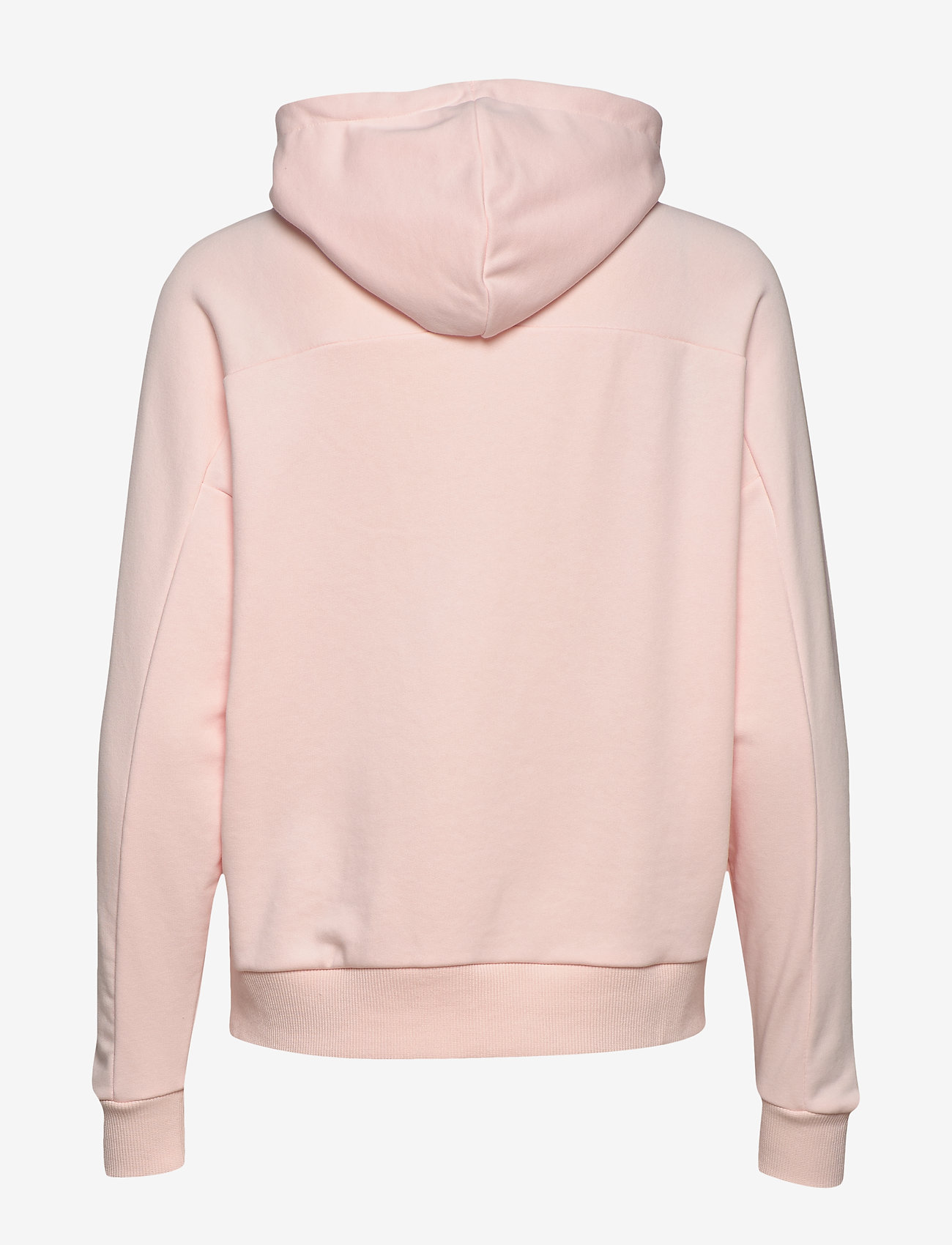 PUMA - TFS Hoody - rosewater - 1