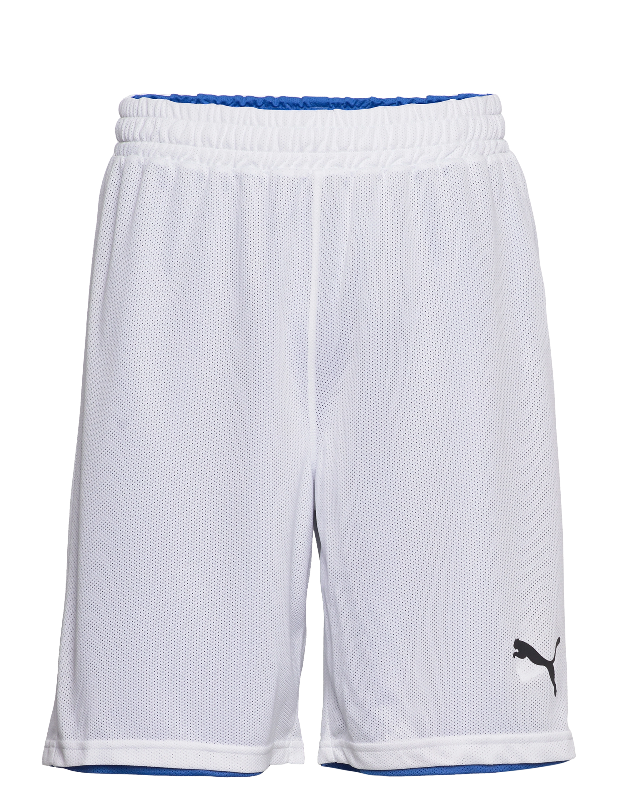 PUMA WHITE-STRONG BLUE