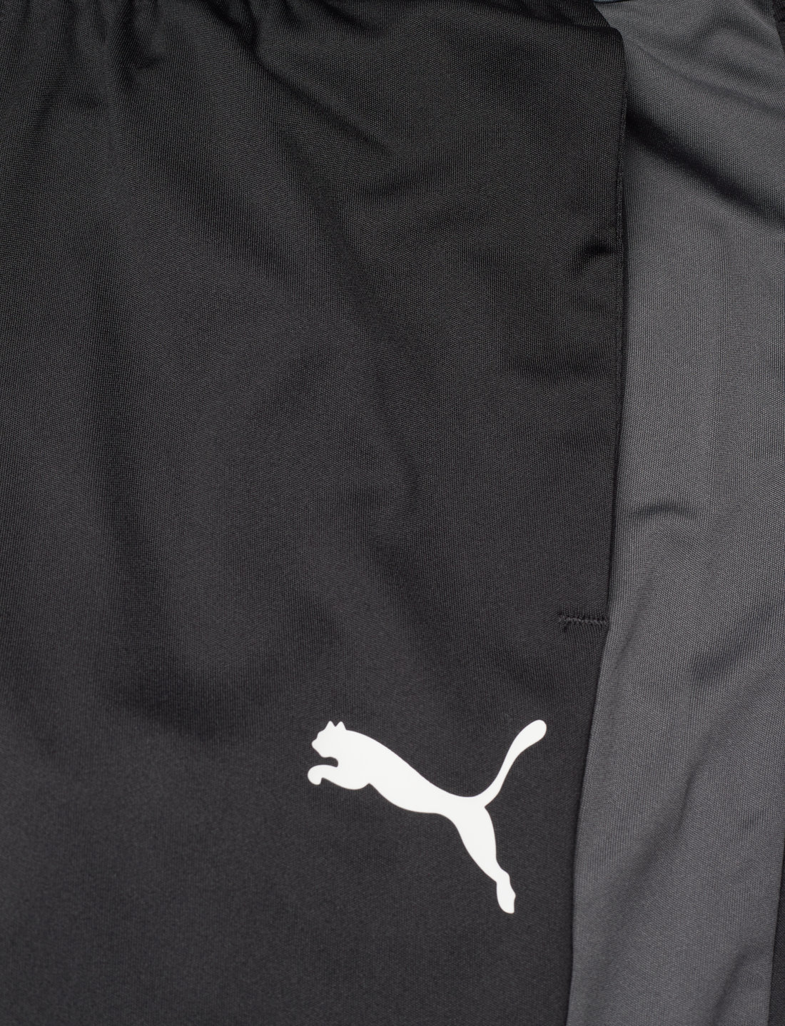 PUMA Speed Pant pants shop at Booztlet