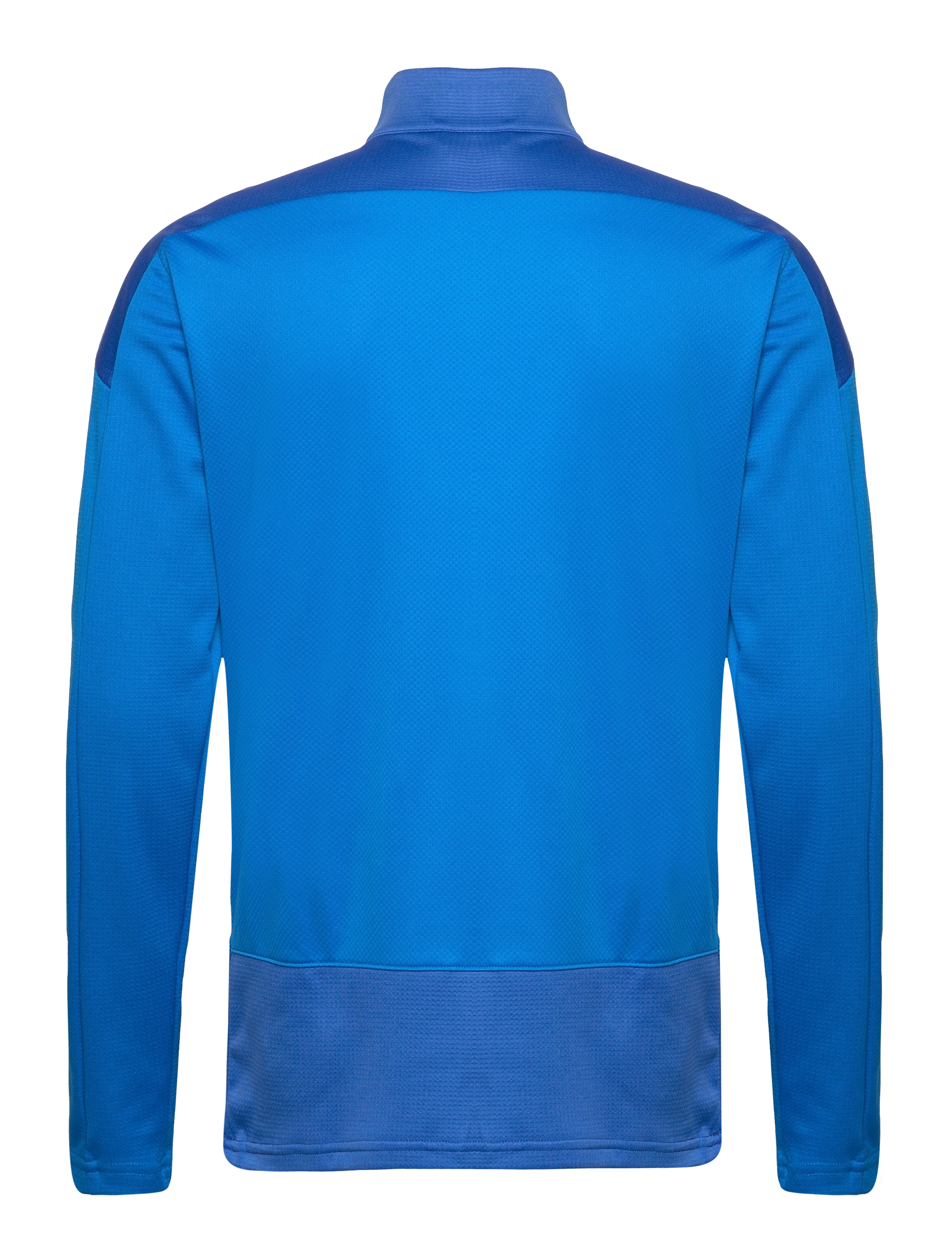 PUMA - teamGOAL 23 Training 1/4 Zip Top - electric blue lemonade-team power blue - 1